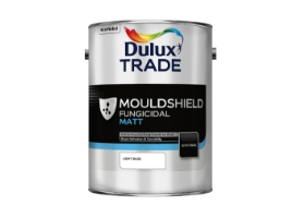 Anti Mould Paint